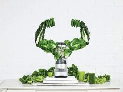 Breville The Fresh And Furious™ Blender 7 Breville The Fresh And Furious™ Blender -Professional Kitchen Appliance Store image 73